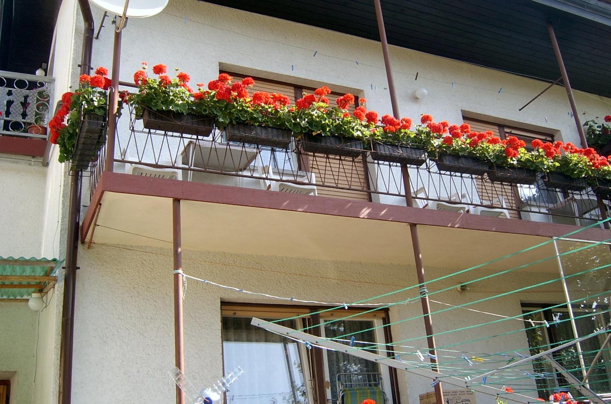 Guest house Ivanka